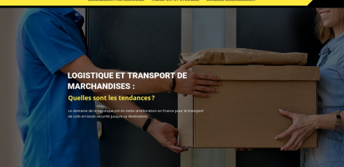 https://www.transport-demenagement.fr